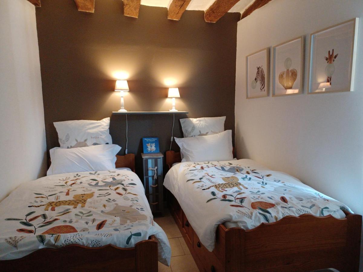 Aux Briques Rouges Au Pied Du Chateau Et A 4 Km Du Zoo De Beauval 상테뇽 외부 사진